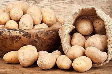 《路易吉洋馆3》开发商Next Level总裁宣布退休